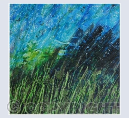 Summer field 5