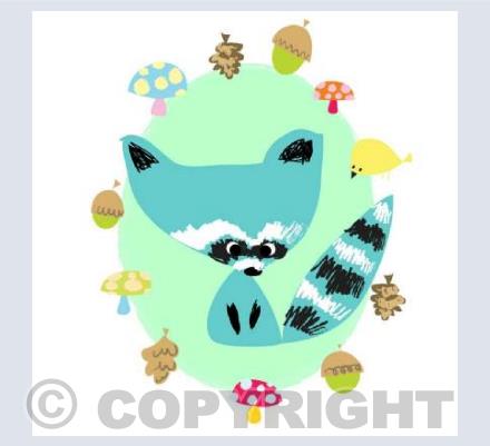 ruban the racoon