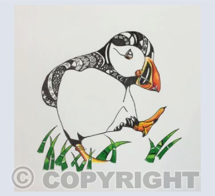 Dancing Puffin
