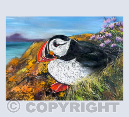 Peaceful Puffin