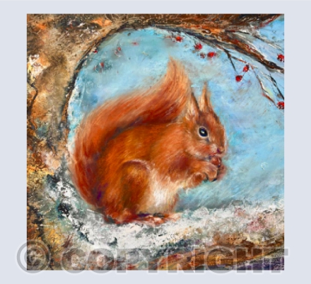 Red Squirrel/ Gwiwer Goch