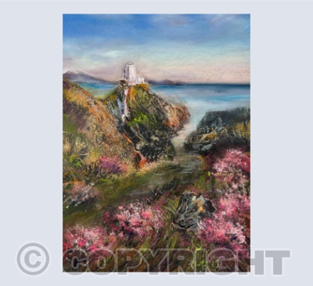 Clustog Y Mór / Seathrift on Llanddwyn Island