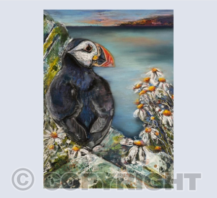 Ynys Seriol / Puffin Island