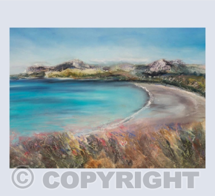 Yr Eifl / The Rivals