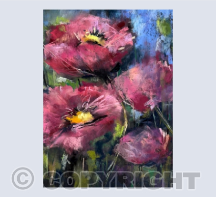 Poppies