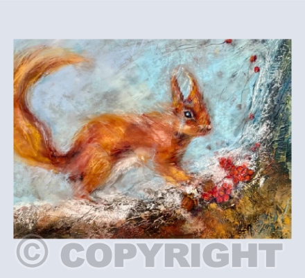 Red Squirrel in Winter/Gwiwer Goch yn y Gaeaf