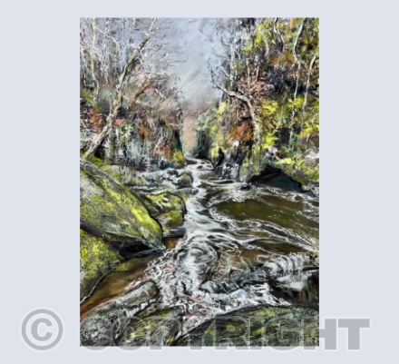 Fairy Glen Betws-y-Coed.
