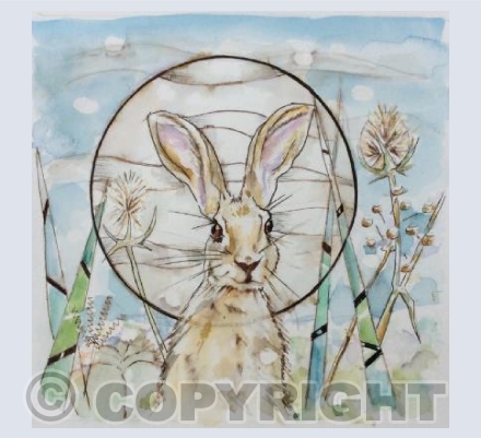 Moonlight Hare