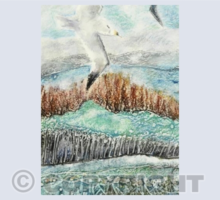 Rocky Shore