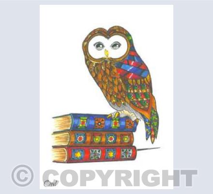 Owl