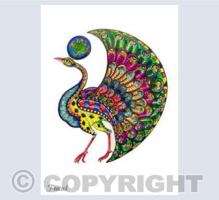Peacock