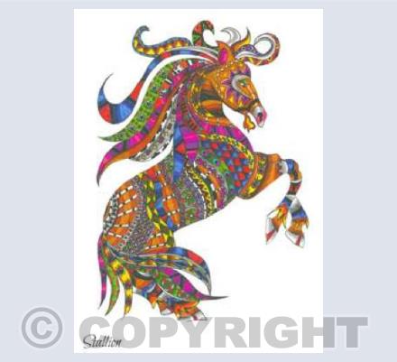 Stallion