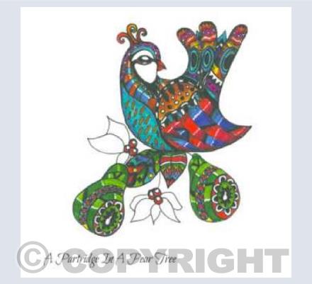 A Partridge in a Pear Tree
