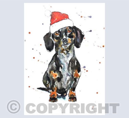 Daxi