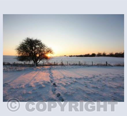 Footprints in the snow