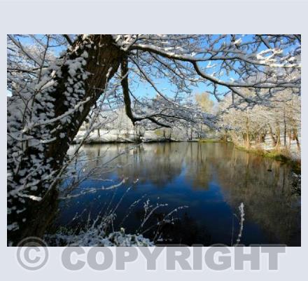 The Lawn Woods, Swindon