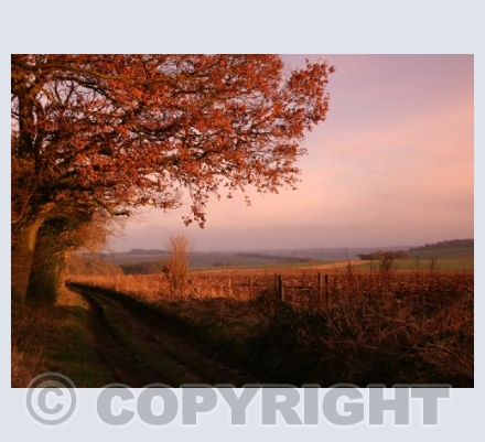 The Ridgeway Path