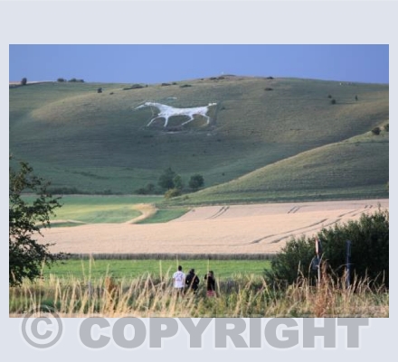 Alton Barnes white horse