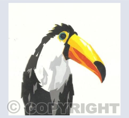 Toucan