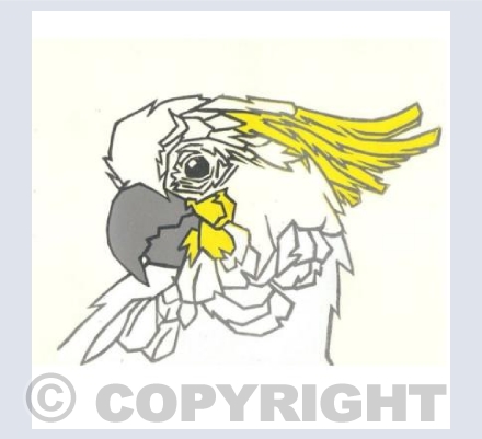 Cockatoo card