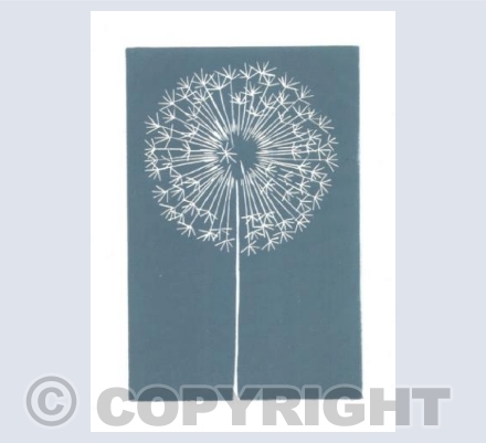 Dandelion