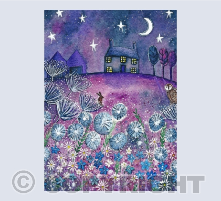 Watching the Stars