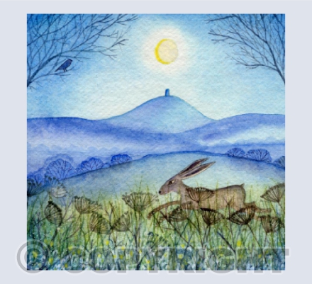 Through the Snowdrops