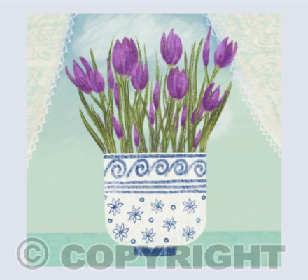 Spring Crocus