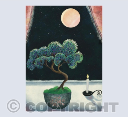Under the Moonlight