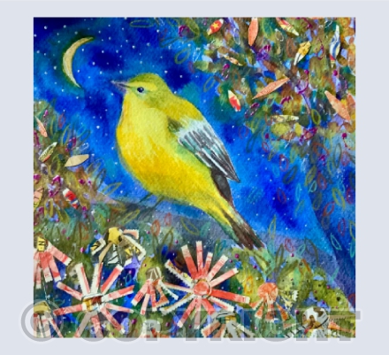 Yellow Wagtail