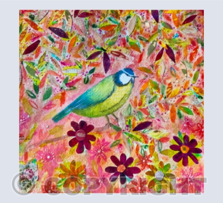 Blue Tit