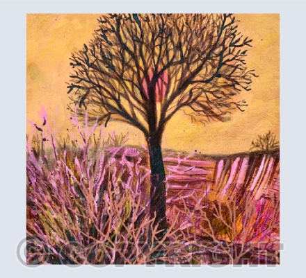 Lone Tree