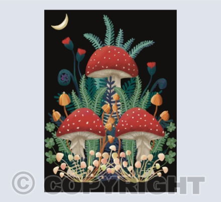 Toadstools and Ferns.