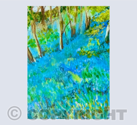 Bluebell Woods