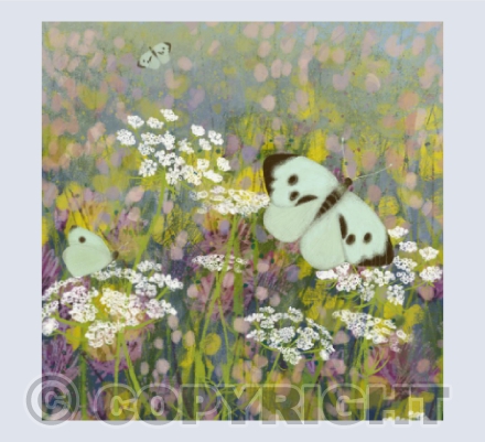 Cabbage Whites and Cow Parsley