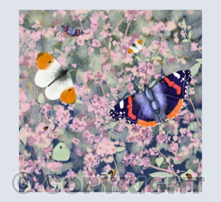 Butterflies and Bees