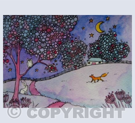 Little red fox