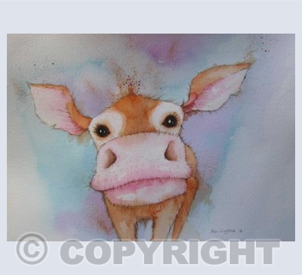 Curious Cow