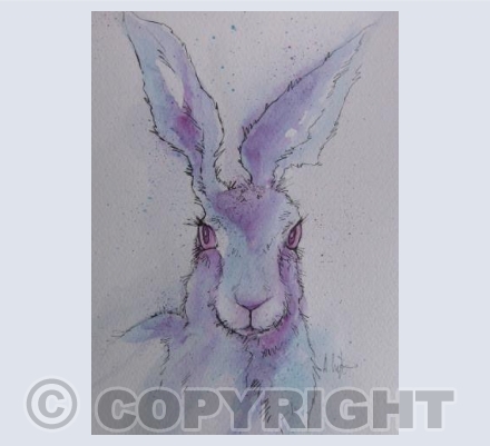 Hare
