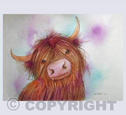 Heeland Coo