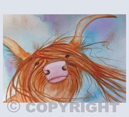 Heeland Coo 2
