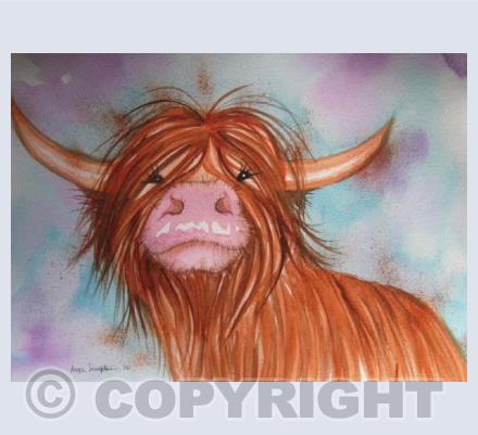 Heeland Coo 3