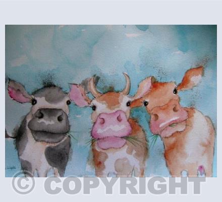 Nosey Cows