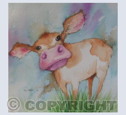 Curious Cow
