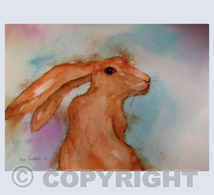 Hare