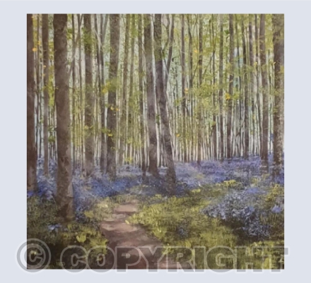 Badbury Bluebells