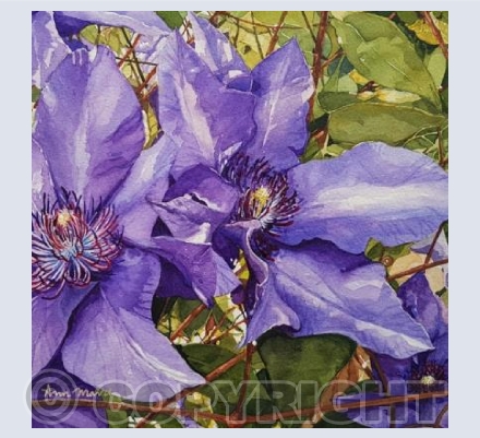 The Colour Purple