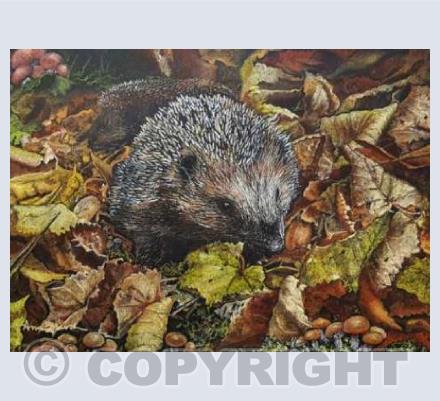 Autumn Foragers
