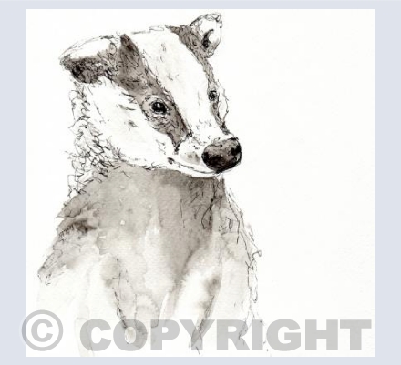 The Proud Badger