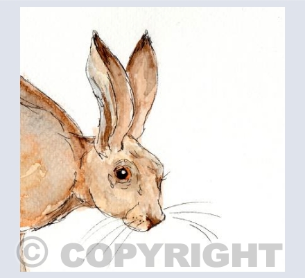 The Hoppy Hare